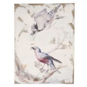  Clayre & Eef Shabby Chic antikolt madrks fali vszonkp fa kereten